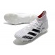 Kopačky Adidas Predator MUTATOR 20.1 AG Bílý Černá