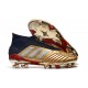 Kopačky Adidas Predator 19+ FG Bezcenný 25th Anniversary Zlatý Stříbrný Černá