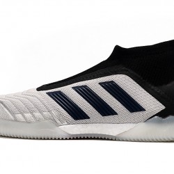 Kopačky Adidas Predator 19+ IN Bezcenný Stříbrný Černá