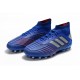 Kopačky Adidas Predator 19.1 AG Modrý Stříbrný