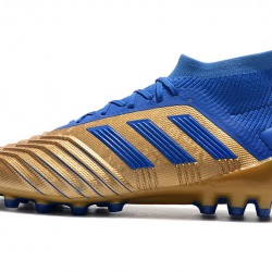 Kopačky Adidas Predator 19.1 AG Zlatý Modrý