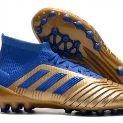 Kopačky Adidas Predator 19.1 AG Zlatý Modrý