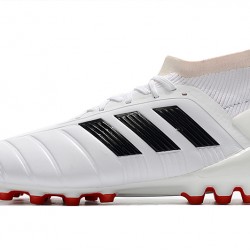 Kopačky Adidas Predator 19.1 AG Bílý Černá