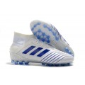 Adidas Predator 19.1 AG