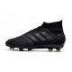 Kopačky Adidas Predator 19.1 FG 25th Anniversary Všechno černé