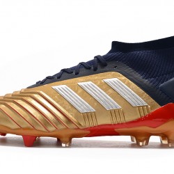 Kopačky Adidas Predator 19.1 FG 25th Anniversary Zlatý Černá Stříbrný