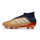 Kopačky Adidas Predator 19.1 FG 25th Anniversary Zlatý Černá Stříbrný