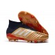 Kopačky Adidas Predator 19.1 FG 25th Anniversary Zlatý Černá Stříbrný