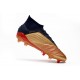 Kopačky Adidas Predator 19.1 FG 25th Anniversary Zlatý Černá Stříbrný