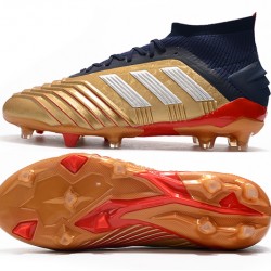 Kopačky Adidas Predator 19.1 FG 25th Anniversary Zlatý Černá Stříbrný