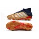 Kopačky Adidas Predator 19.1 FG 25th Anniversary Zlatý Černá Stříbrný