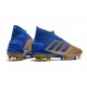 Kopačky Adidas Predator 19.1 FG 25th Anniversary Zlatý Modrý