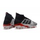 Kopačky Adidas Predator 19.1 FG 25th Anniversary Stříbrný Černá Červené