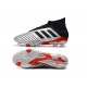 Kopačky Adidas Predator 19.1 FG 25th Anniversary Stříbrný Černá Červené