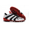 Adidas Predator Accelerator AG