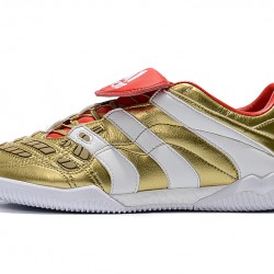 Kopačky Adidas Predator Accelerator Electricity TR Zlatý Bílý