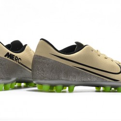 Kopačky Nike Dream Speed Mercurial Vapor 13 Academy AG Zlatý